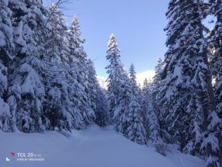 Sì, in effetti è venuta un po' di neve...
