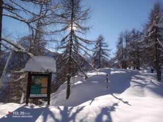 Al colletto Fontane.