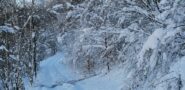 Tanta neve