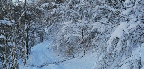 Tanta neve