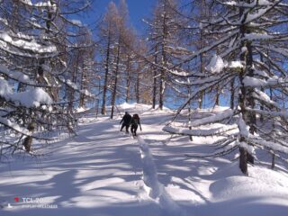 Dal colle, verso il panoramico dosso che lo sovrasta.