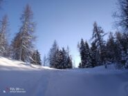 Il Serrevecchio... sepolto, visto dalla pista di salita.