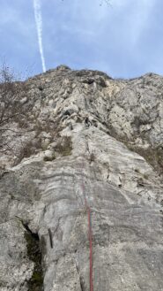 Ste su L1 in prossimità della placchetta