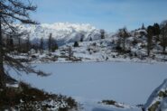 La sostenibile leggerezza di un essere