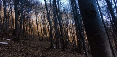 Ambiente