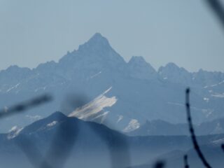 Monviso e satelliti da un piccolo varco nella boschina, appena sotto la cima.
