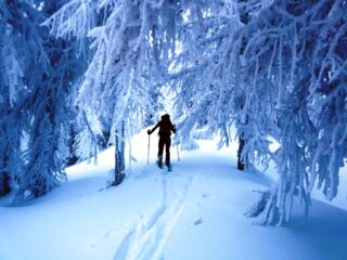 Lariceto magico...