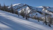 Bosco  Intersile