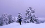 Di qui in su davvero tanta neve...