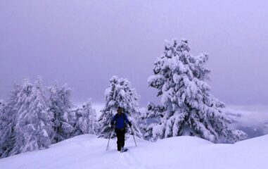 Di qui in su davvero tanta neve...