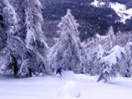 Il Canada in valle Varaita...