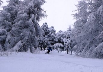 Radure al top!