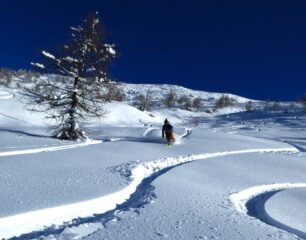 Una neve come da tempo non si vedeva...