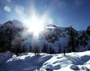 In uscita dal bosco