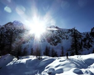 In uscita dal bosco