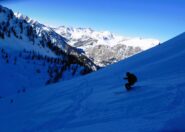 Verso il lariceto