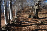 Un tratto del possibile sentiero E6, ancora marcato e costeggiato da muretti a secco ma ormai invaso da arbusti e alberi caduti