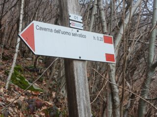Stacco sul Tracciolino del sentiero per la Caverna dell’uomo selvatico