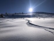 Canada??..........no: Monesi!!