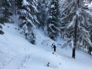 bosco sopra S.Grato
