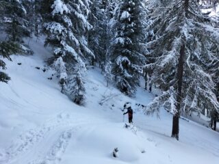 bosco sopra S.Grato