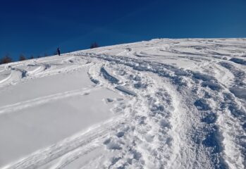 traccia verso Costa Chiggia
