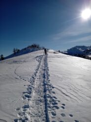 proseguendo verso il M.Festa