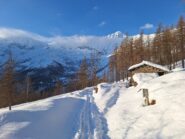 Da Cornour verso Pian Frollero