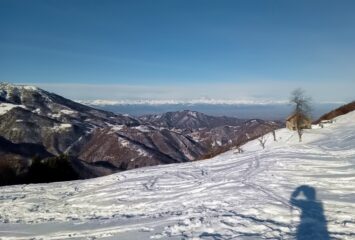 panorama su Alpi e pianura