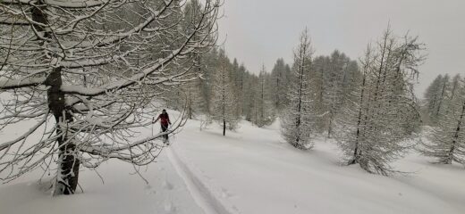 Oramai verso la cima