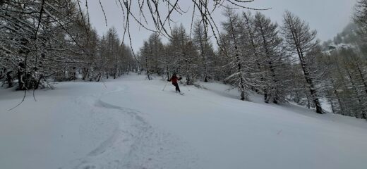 Neve da favola in alto