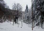 a pochi minuti da Certosa