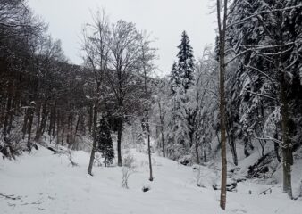 a pochi minuti da Certosa
