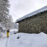 Grange Giove