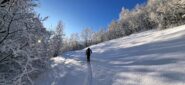 Ambiente splendido dopo la nevicata notturma