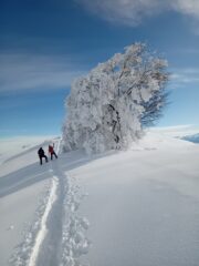 dal Colle verso la cima