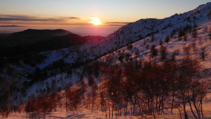 alba commovente