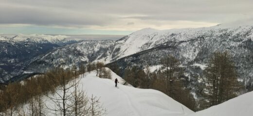 In dorsale
