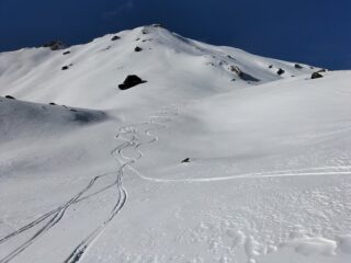 oplus_2