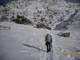 arrivo al Muffè