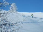 spettacolo dei radi larici coperti di neve