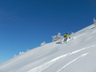 discesa su neve polverosa