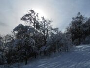Controluce