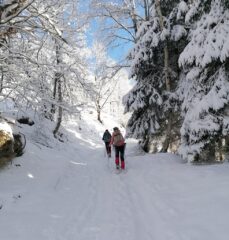 quasi al Colle di Valmala