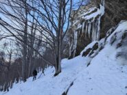 oplus_2