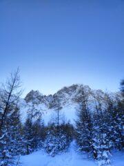 oplus_34