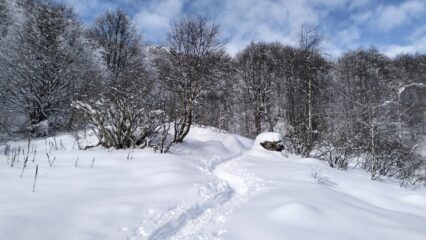oplus_2048