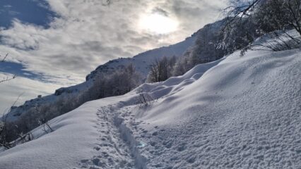 oplus_0