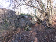 Sentiero tra boscaglia e ruderi dei Casoni