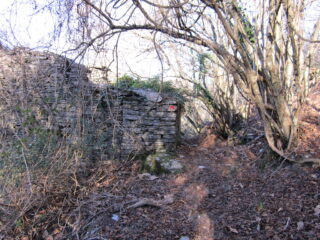 Sentiero tra boscaglia e ruderi dei Casoni